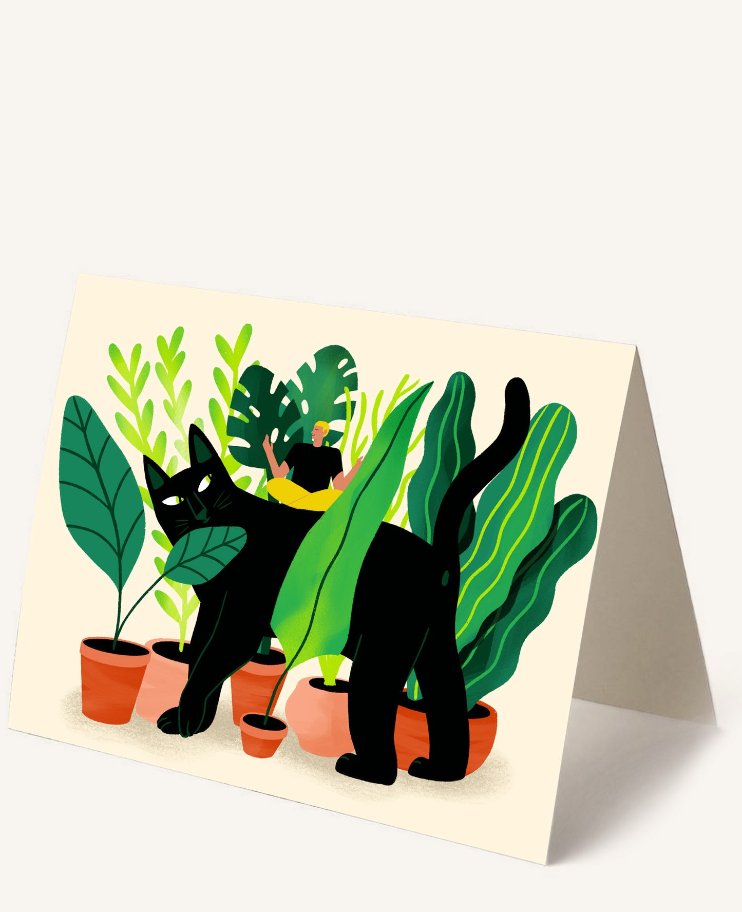 CAT PLANTS
