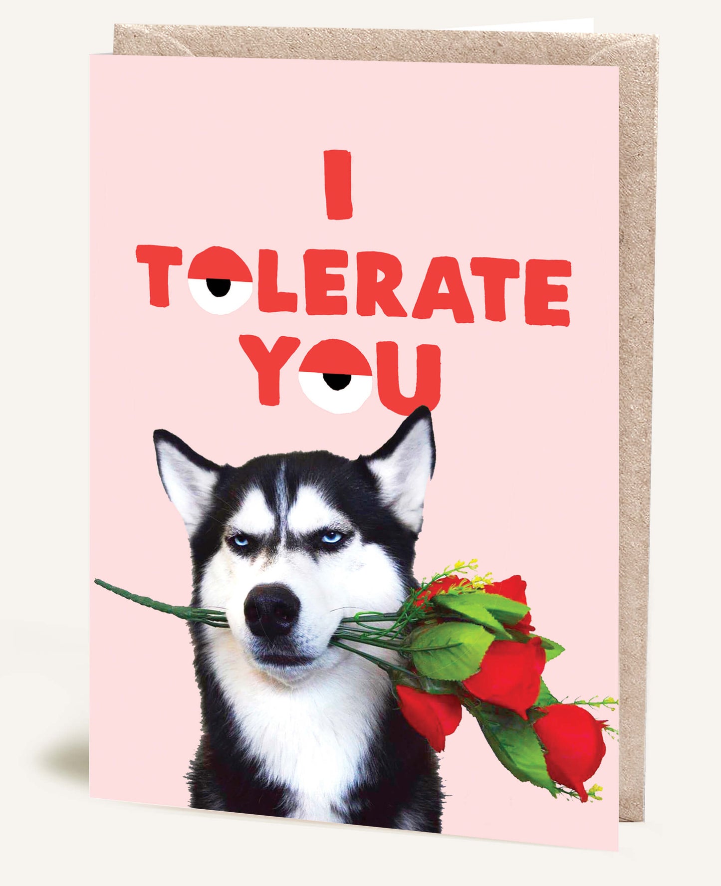 TOLERATE YOU