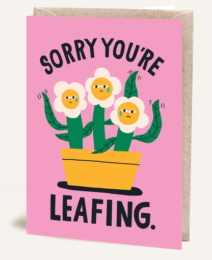 SORRY YOU'RE LEAFING